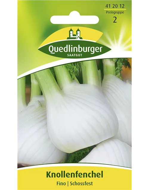 Knollenfenchelsamen 'Fino'