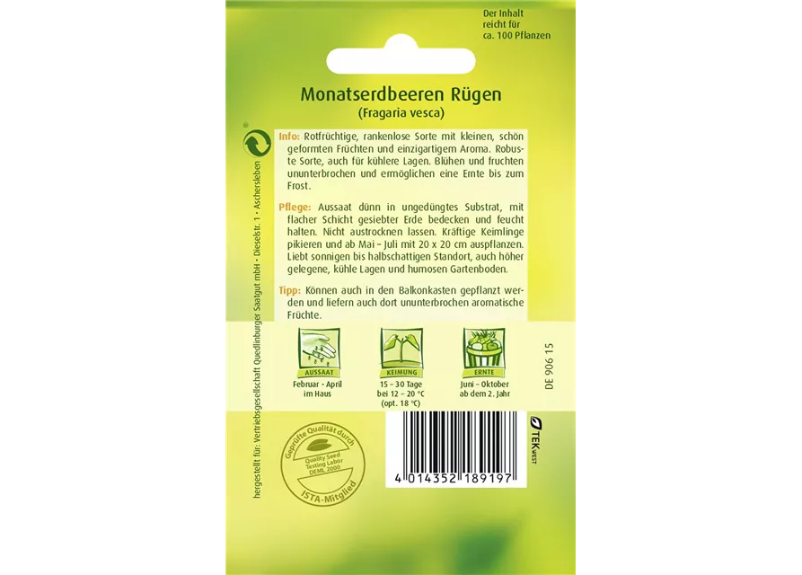 Monats-Erdbeere-Samen 'Rügen'