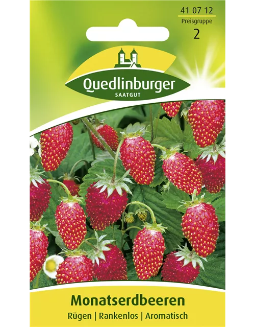 Monats-Erdbeere-Samen 'Rügen'