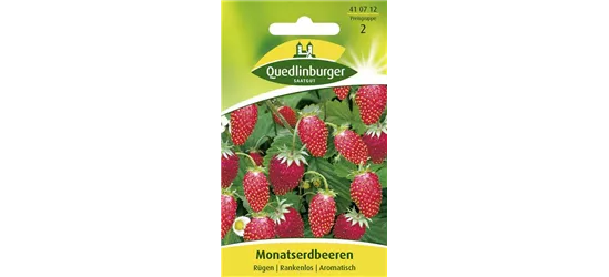 Monats-Erdbeere-Samen 'Rügen'
