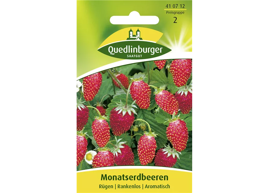 Monats-Erdbeere-Samen 'Rügen'