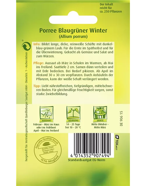 Lauchsamen 'Blaugrüner Winter'