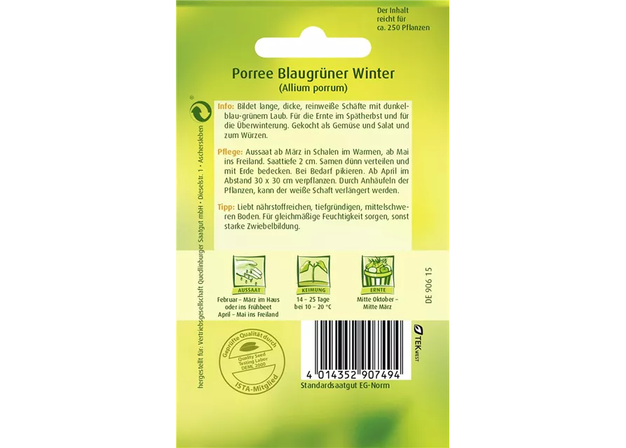 Lauchsamen 'Blaugrüner Winter'