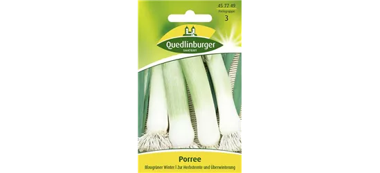 Lauchsamen 'Blaugrüner Winter'