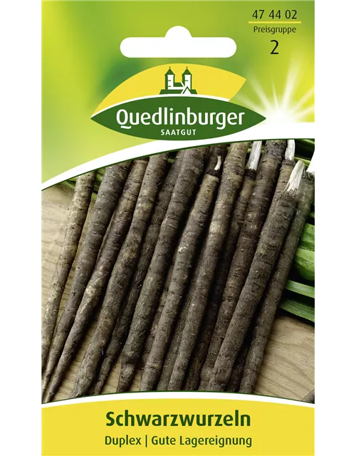 Schwarzwurzelsamen 'Duplex'