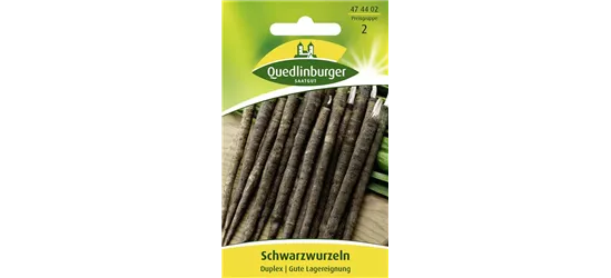 Schwarzwurzelsamen 'Duplex'