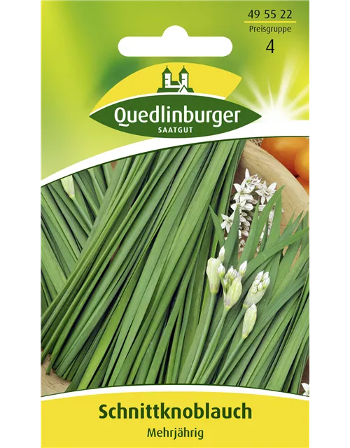 Schnittknoblauchsamen