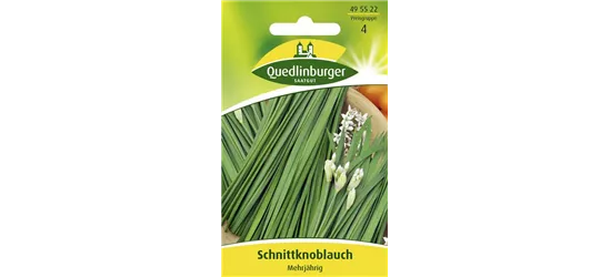 Schnittknoblauchsamen