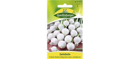 Zwiebelsamen 'De Barletta'