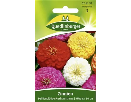 Dahlienblütige Zinnie-Samen