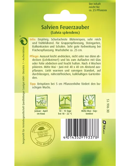 Feuer-Salbei-Samen 'Feuerzauber'