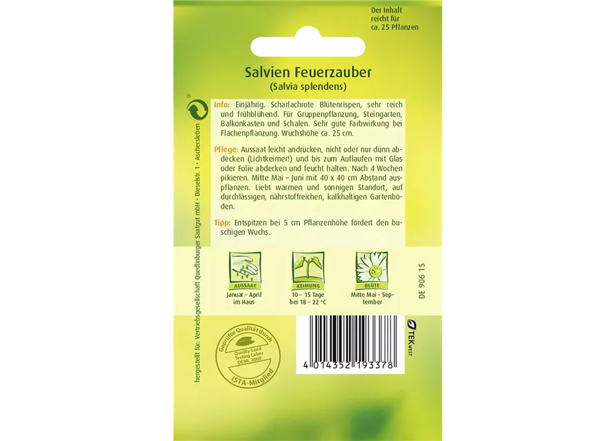 Feuer-Salbei-Samen 'Feuerzauber'