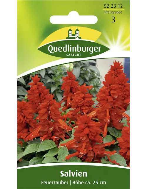 Feuer-Salbei-Samen 'Feuerzauber'
