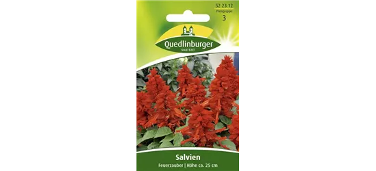 Feuer-Salbei-Samen 'Feuerzauber'
