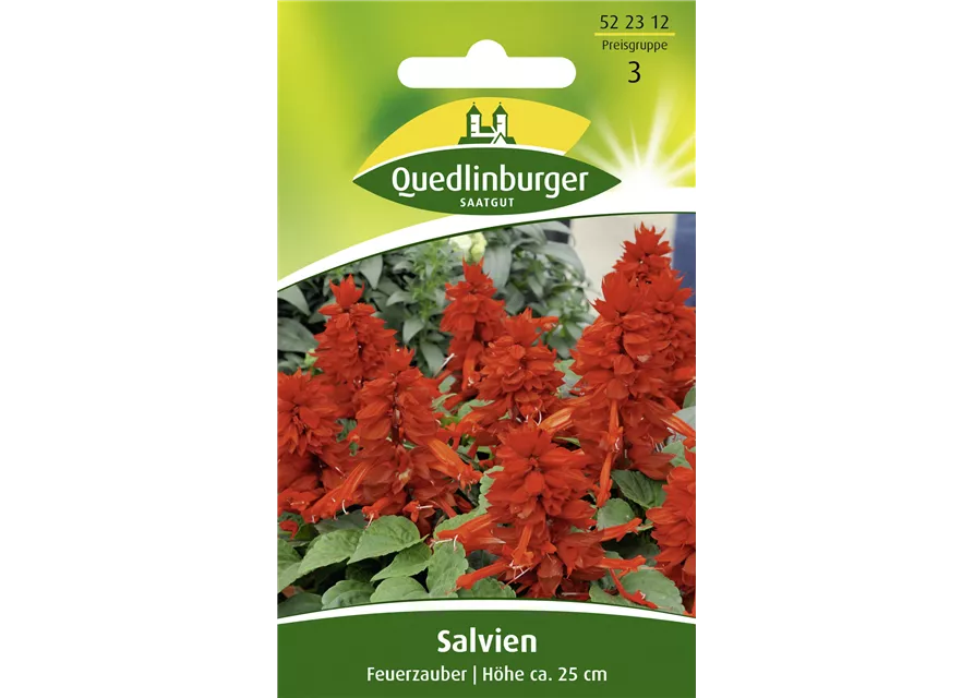 Feuer-Salbei-Samen 'Feuerzauber'