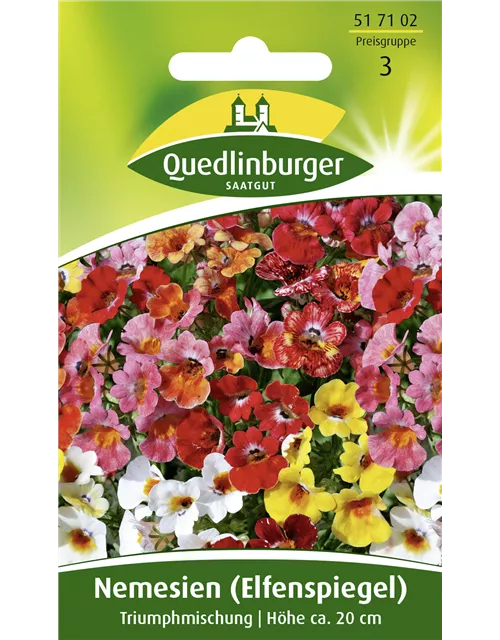 Elfenspiegelsamen 'Triumphmischung'