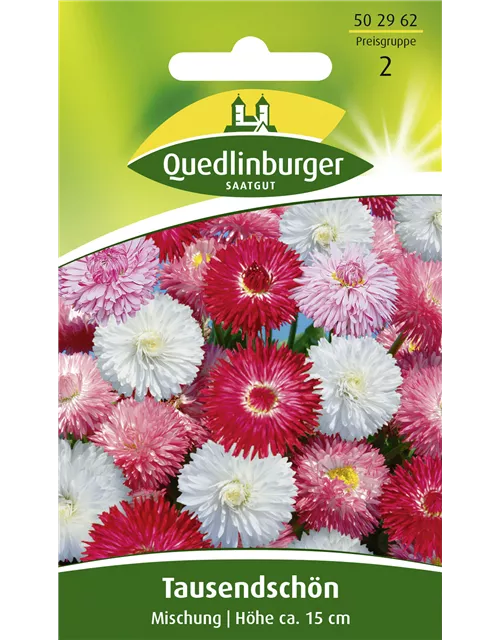 Gänseblümchensamen