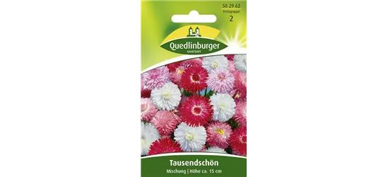 Gänseblümchensamen