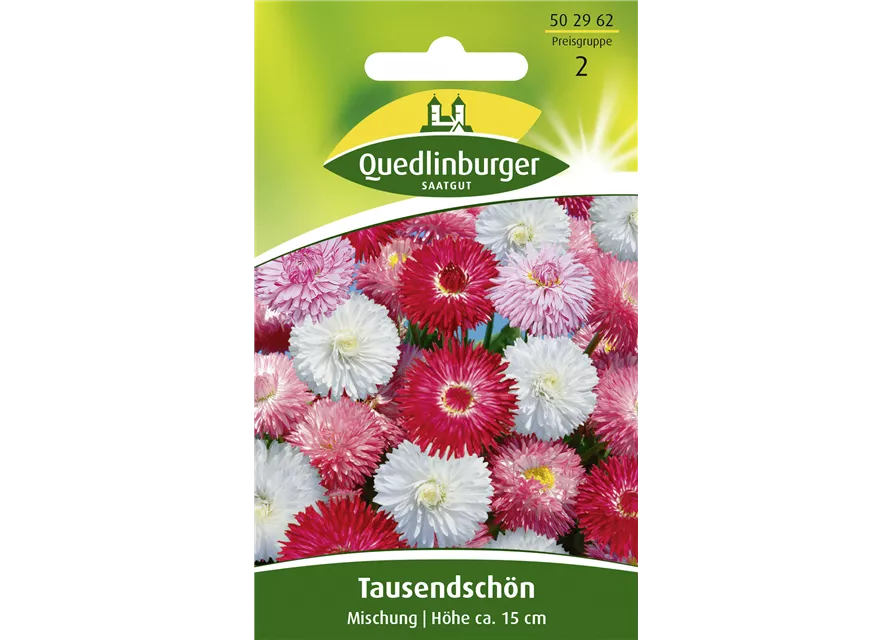 Gänseblümchensamen