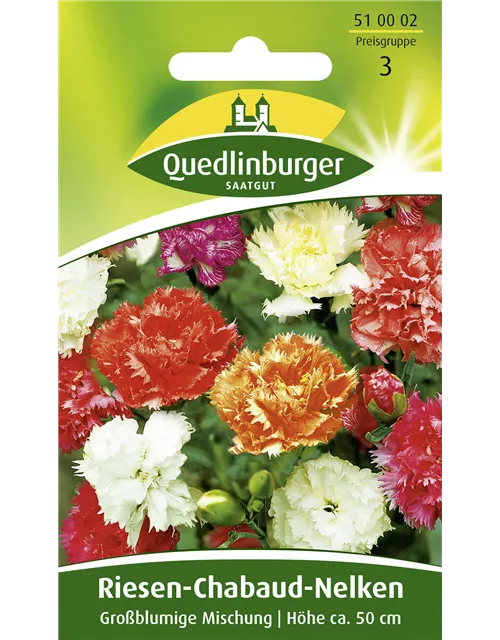 Gartennelkensamen 'Chabaud'