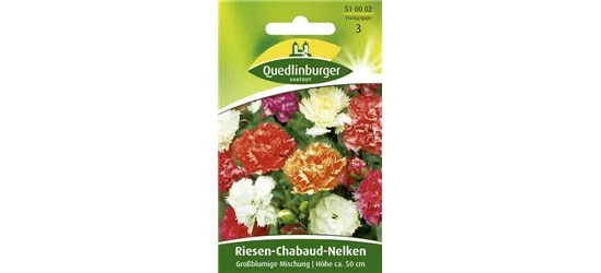 Gartennelkensamen 'Chabaud'
