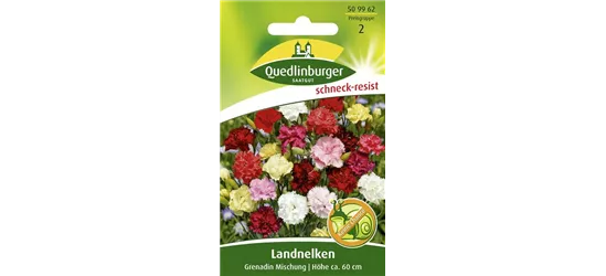 Gartennelkensamen 'Grenadin'