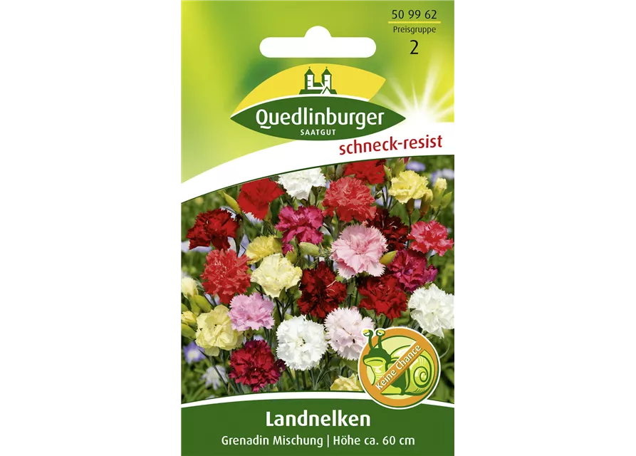 Gartennelkensamen 'Grenadin'