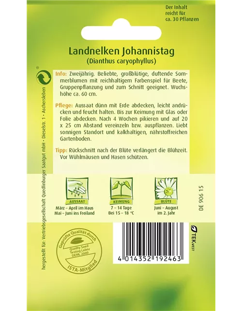 Gartennelkensamen 'Johannistag'