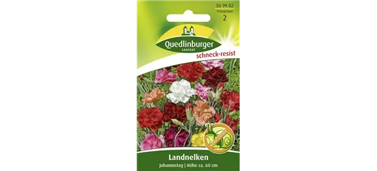 Gartennelkensamen 'Johannistag'