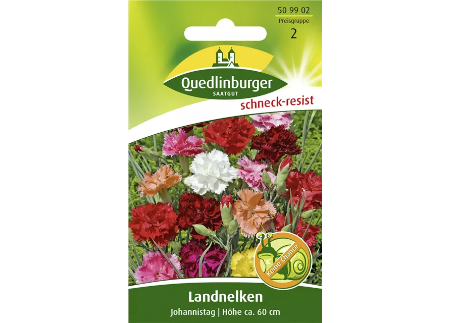 Gartennelkensamen 'Johannistag'