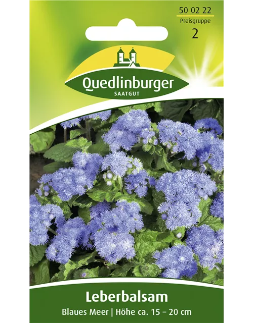 Leberbalsamsamen 'Blaues Meer'