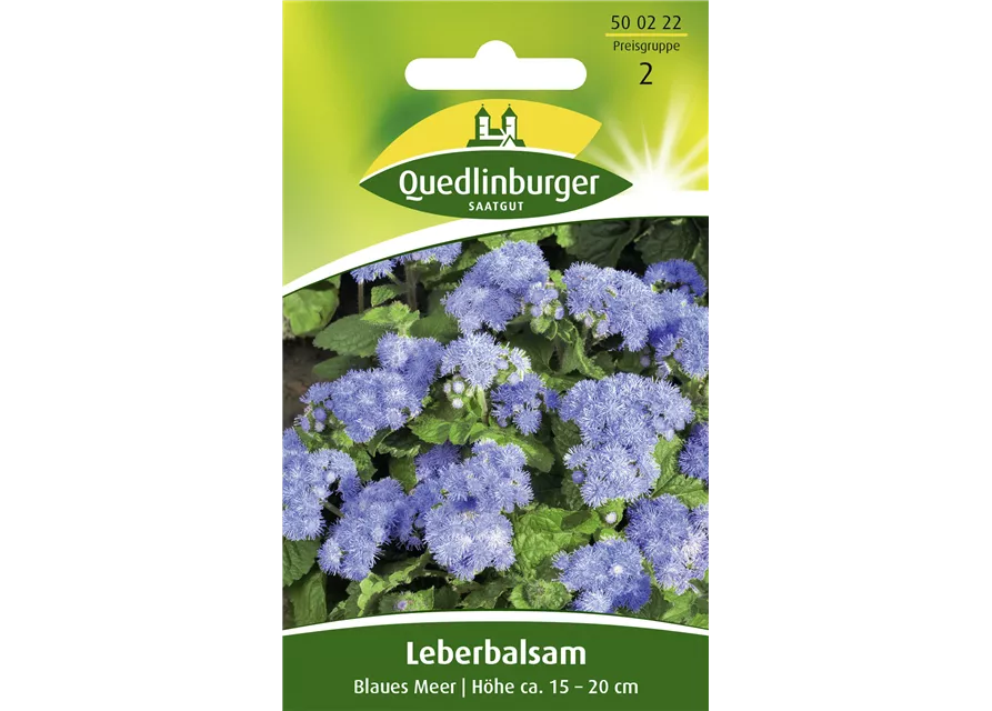 Leberbalsamsamen 'Blaues Meer'