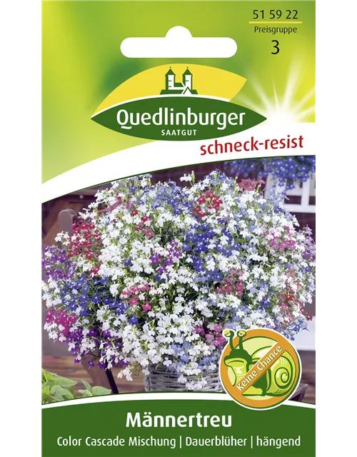 Lobeliensamen 'Color Cascade'