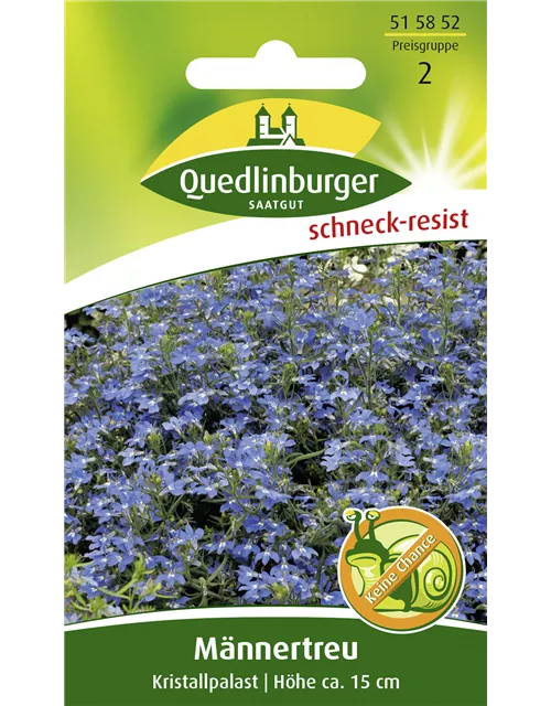 Lobeliensamen 'Kristallpalast'