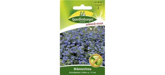 Lobeliensamen 'Kristallpalast'