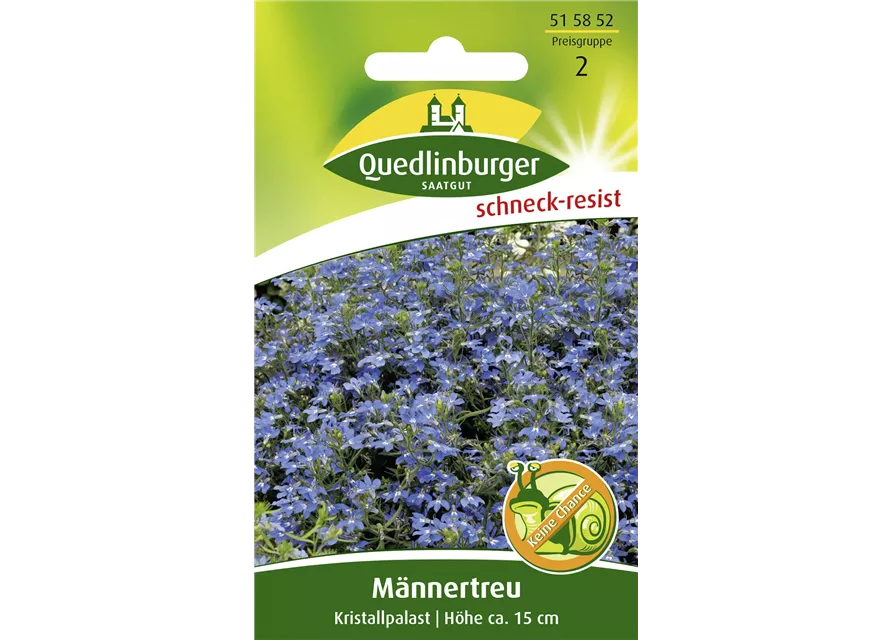 Lobeliensamen 'Kristallpalast'