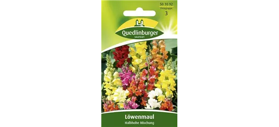 Löwenmaulsamen 'Halbhohe Mischung'