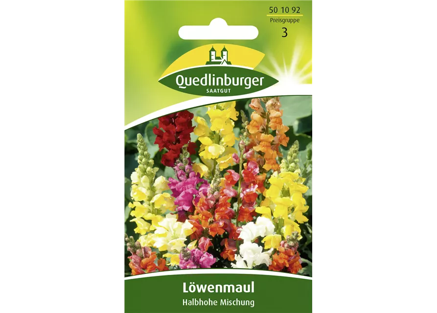Löwenmaulsamen 'Halbhohe Mischung'