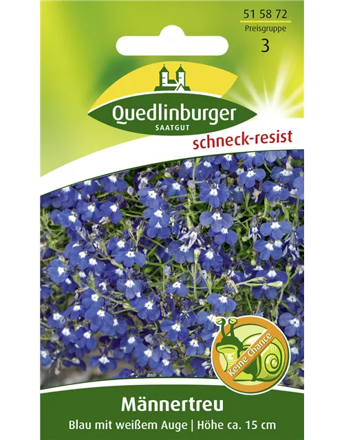 Männertreusamen 'Blau mit weißem Auge'