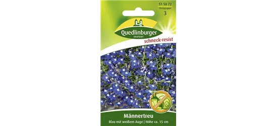 Männertreusamen 'Blau mit weißem Auge'