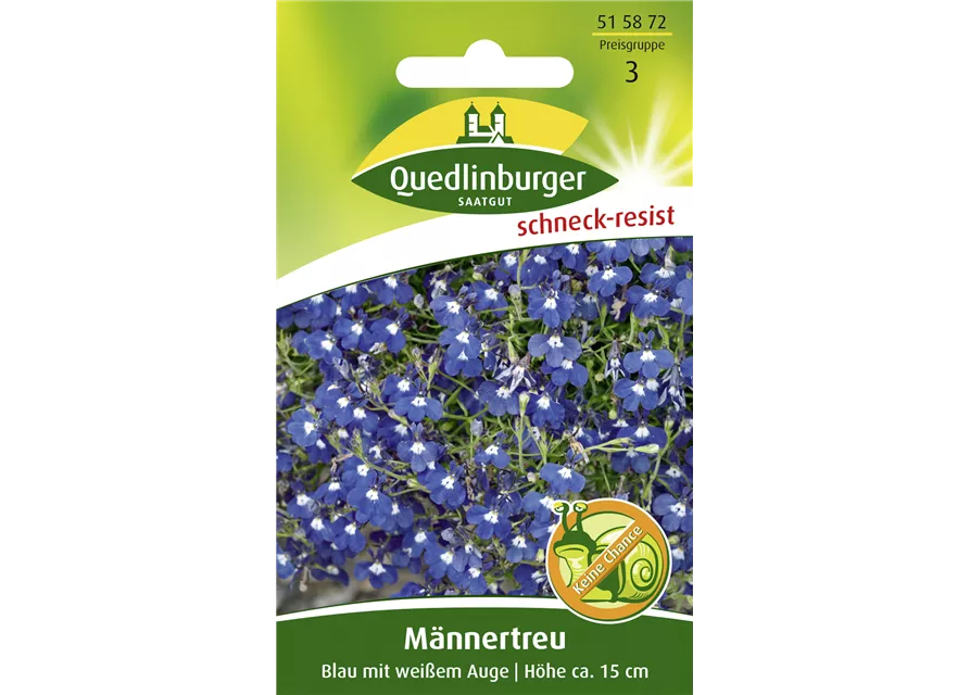 Männertreusamen 'Blau mit weißem Auge'