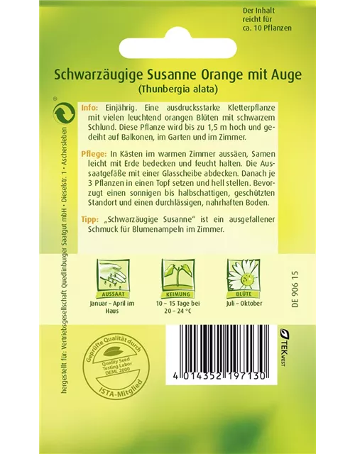 Schwarzäugige Susanne-Samen, orange