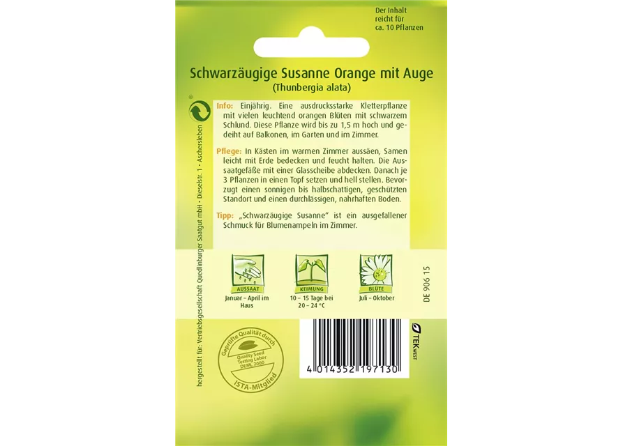 Schwarzäugige Susanne-Samen, orange