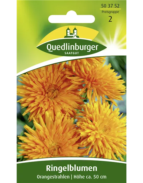 Ringelblumensamen 'Orangestrahlen'