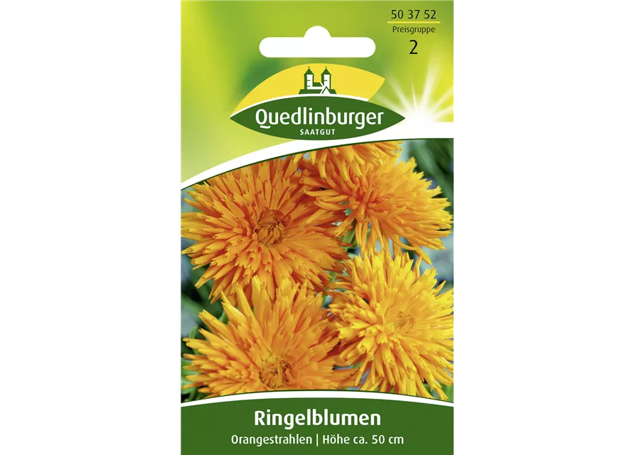 Ringelblumensamen 'Orangestrahlen'