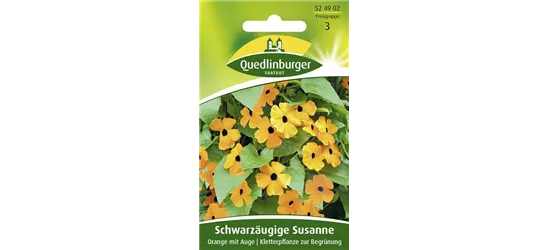 Schwarzäugige Susanne-Samen, orange