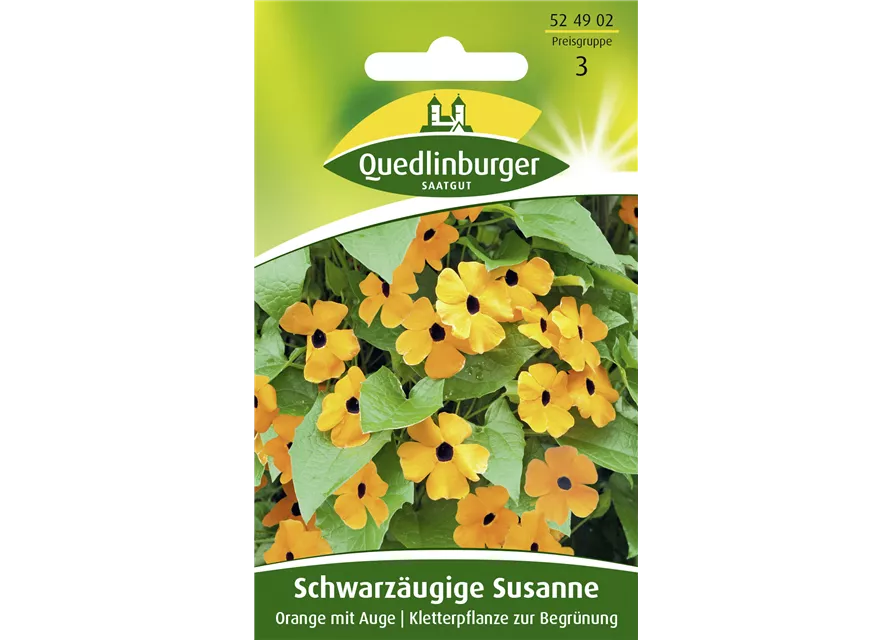 Schwarzäugige Susanne-Samen, orange
