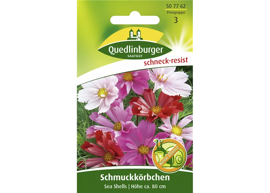 Schmuckkörbchensamen 'Sea Shells'