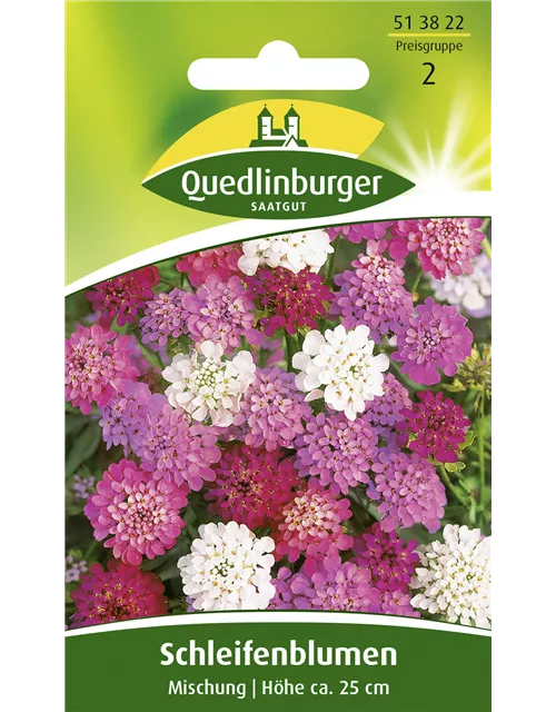 Schleifenblumensamen