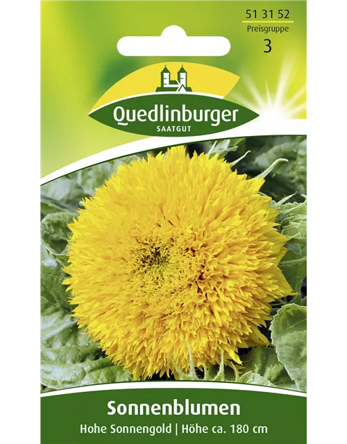 Sonnenblumensamen 'Hohe Sonnengold'